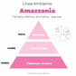 “ AMAZZONIA ” Spray ambiente